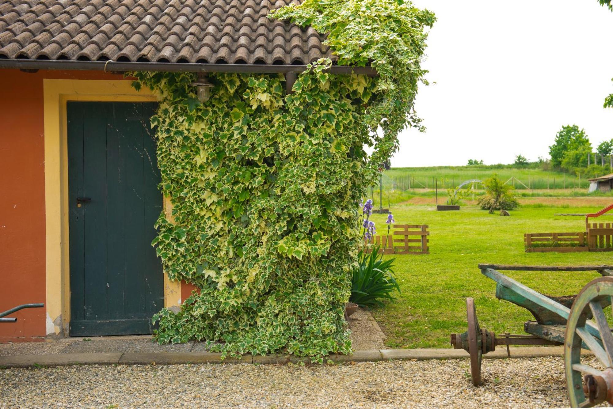 Country House Cascina Orto 파스투라나 외부 사진