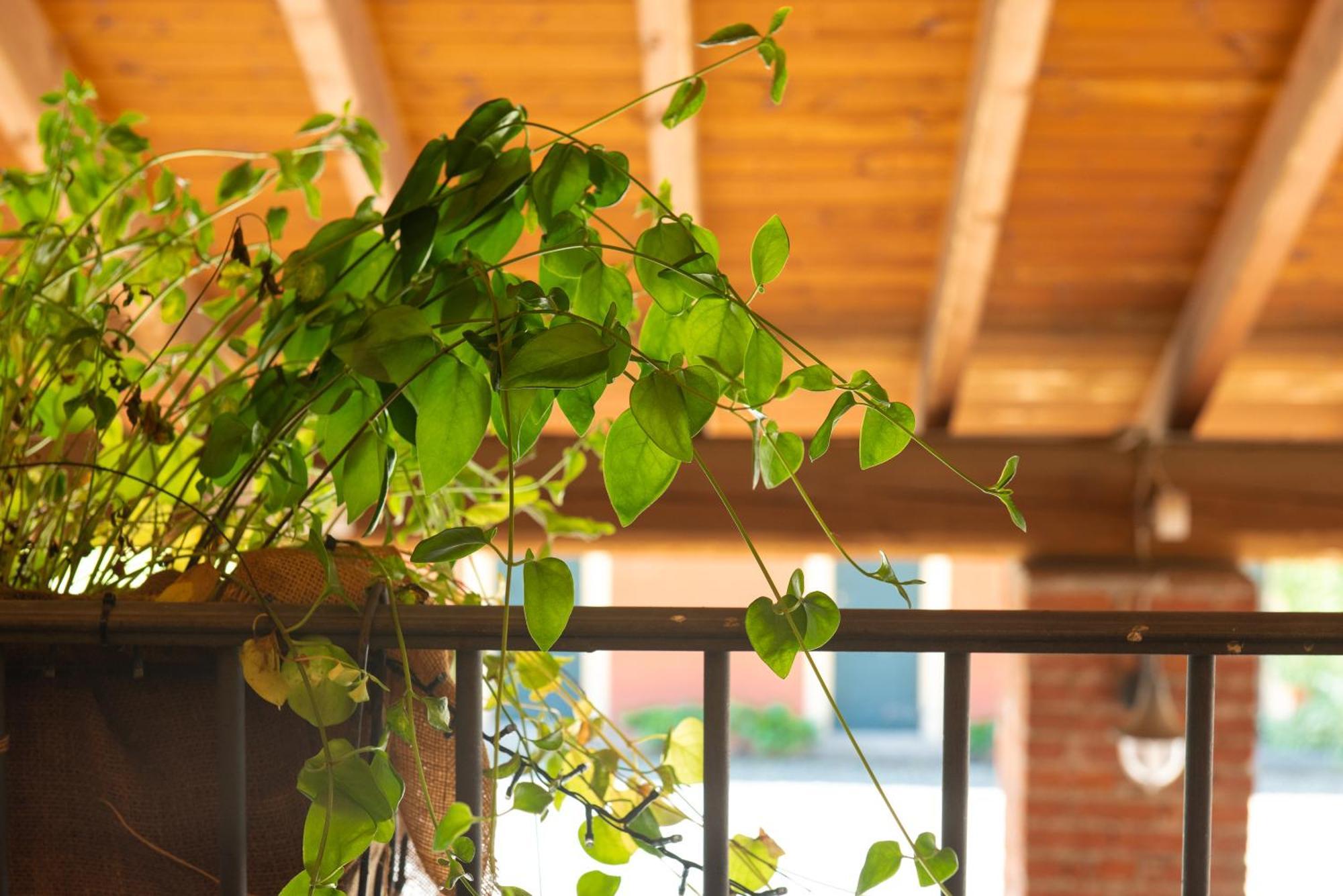 Country House Cascina Orto 파스투라나 외부 사진